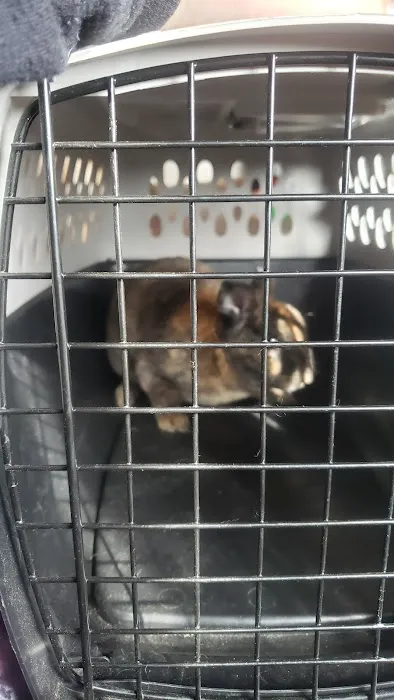 Mt Horeb Animal Hospital Picture 1