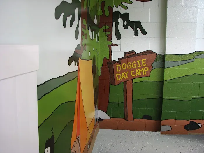 Forest Home Animal Clinic Doggie Day Camp & Boarding Picture 4