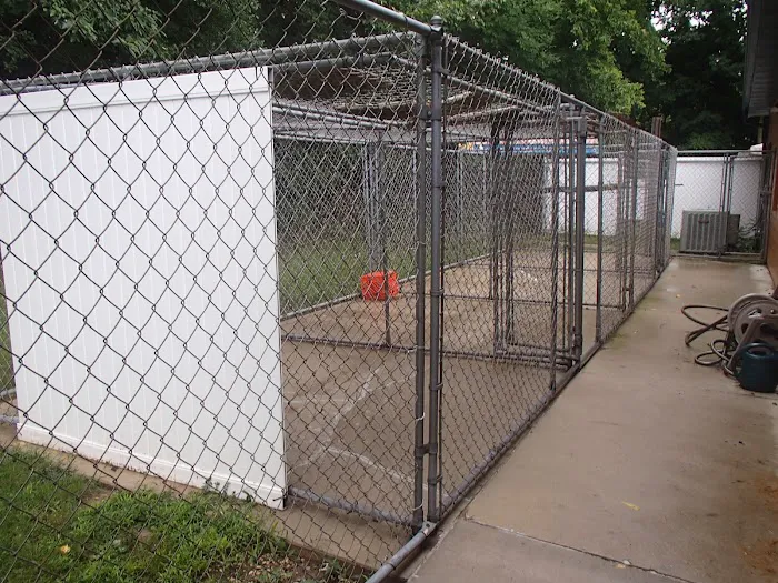 Forest Home Animal Clinic Doggie Day Camp & Boarding Picture 8
