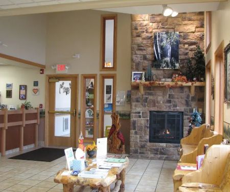Forest Home Animal Clinic: Laura Bonofiglio, DVM