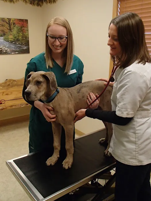 Forest Home Animal Clinic: Laura Bonofiglio, DVM Picture 2