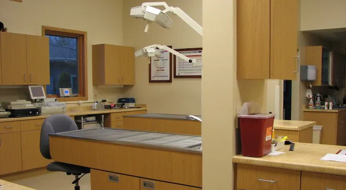 Forest Home Animal Clinic: Laura Bonofiglio, DVM Picture 4