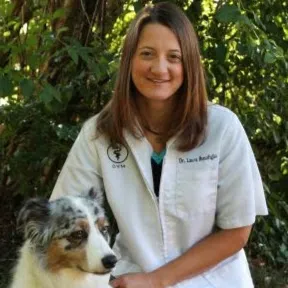 Forest Home Animal Clinic: Laura Bonofiglio, DVM Picture 8