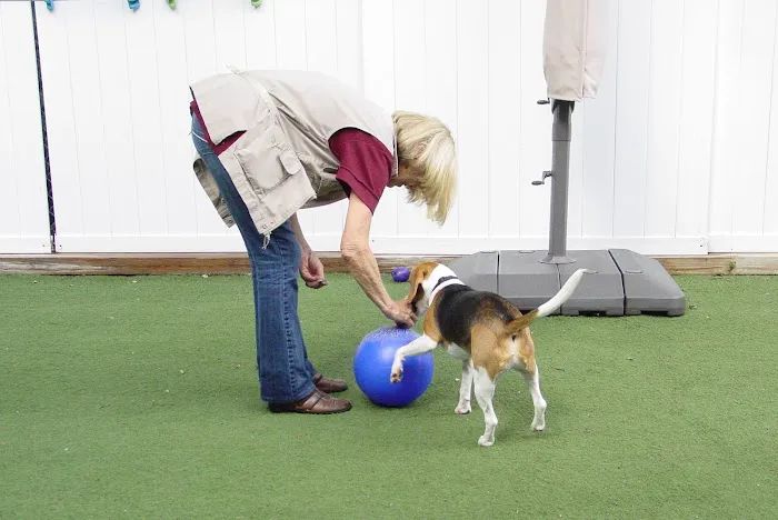 Forest Home Animal Clinic Picture 4