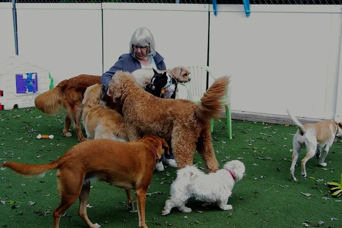 Forest Home Animal Clinic Picture 9