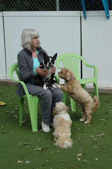 Forest Home Animal Clinic Picture 6