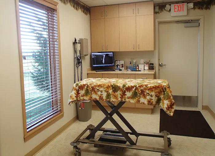 Forest Home Animal Clinic Picture 10