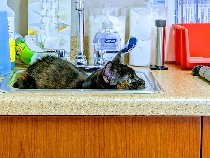 Hales Corners Veterinary Clinic Picture 6