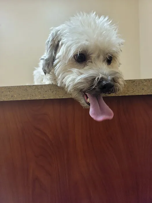 Hales Corners Veterinary Clinic Picture 5