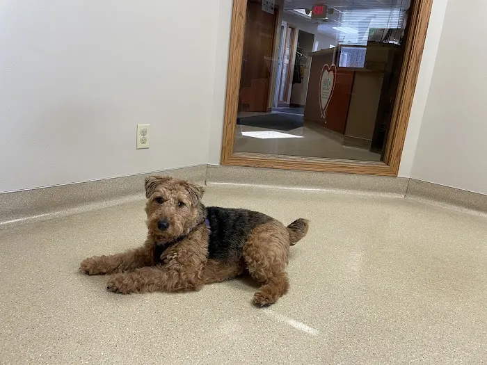 Hales Corners Veterinary Clinic Picture 8