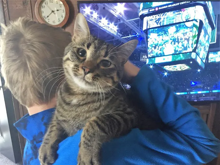Star Veterinary Wellness and Urgent Care Center Picture 1