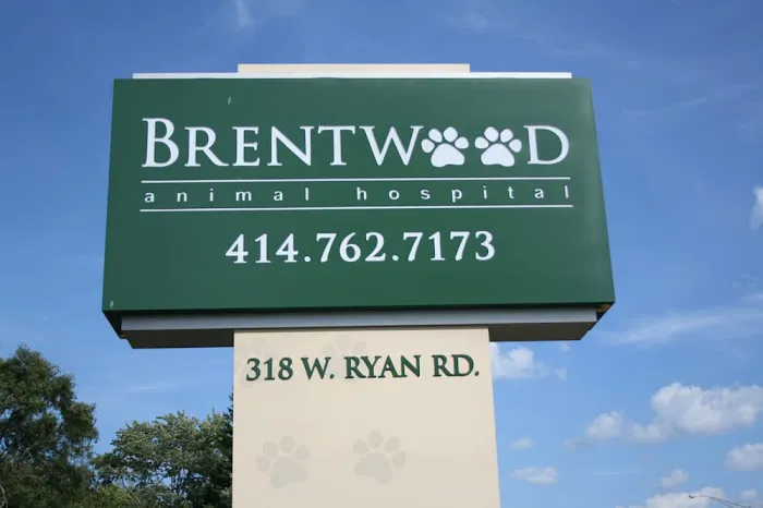Brentwood Animal Hospital Picture 6