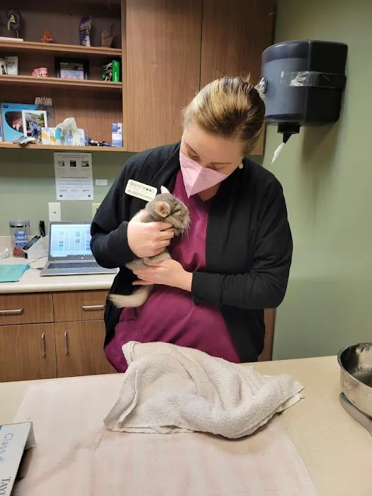 Brentwood Animal Hospital Picture 4