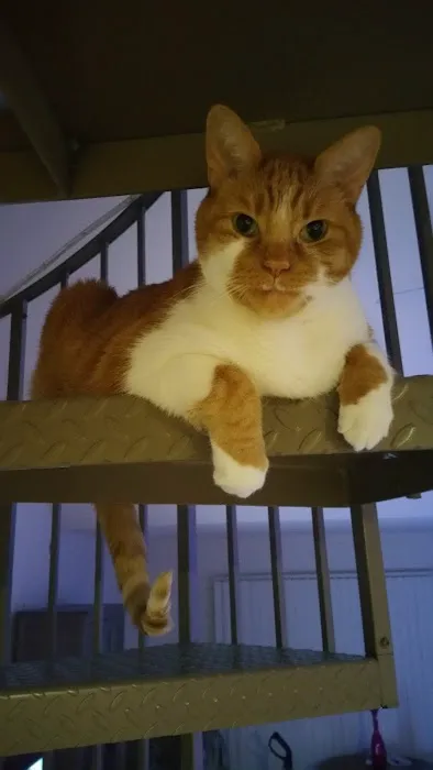 Oak Creek Veterinary Care Picture 1