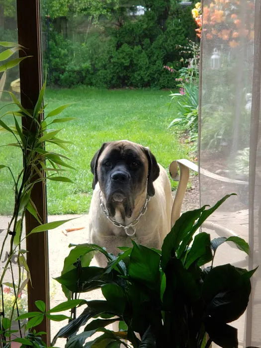 Oak Creek Veterinary Care Picture 4