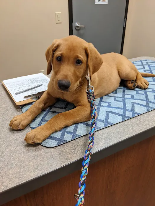 Oak Creek Veterinary Care Picture 2