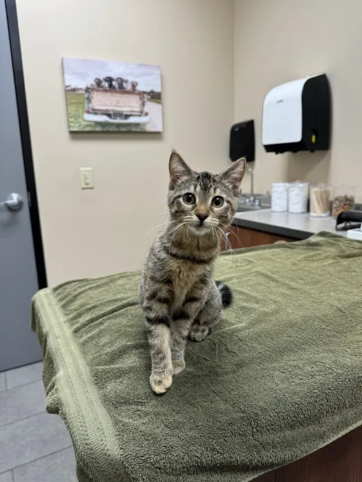 Oak Creek Veterinary Care Picture 7