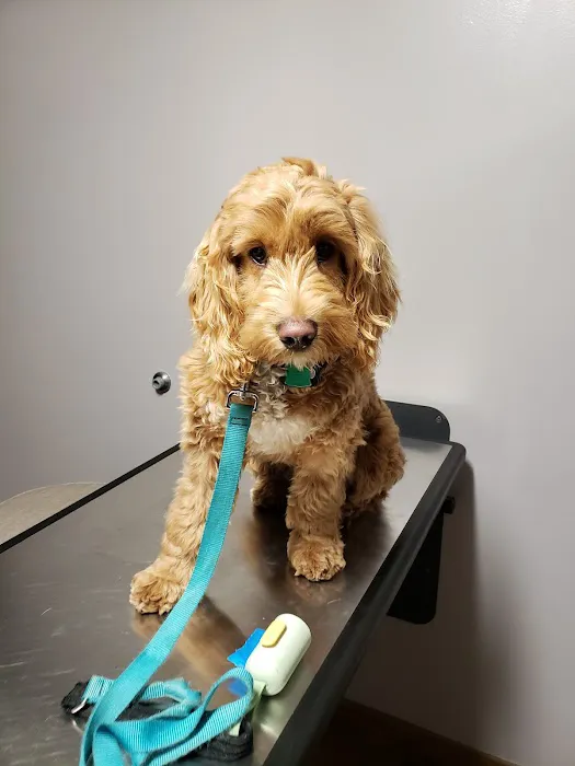 Greenfield Veterinary Clinic Picture 4