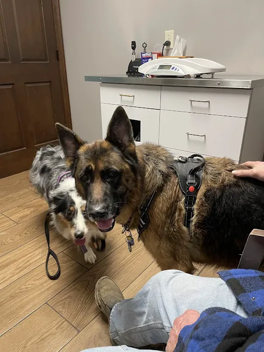 Greenfield Veterinary Clinic Picture 2
