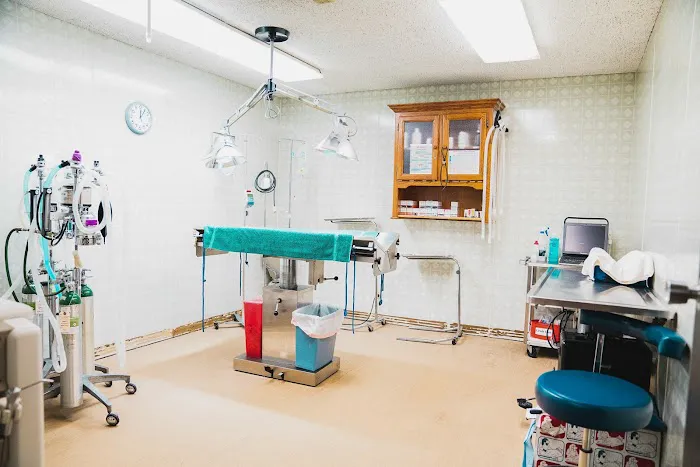 Animal Wellness Center Picture 7