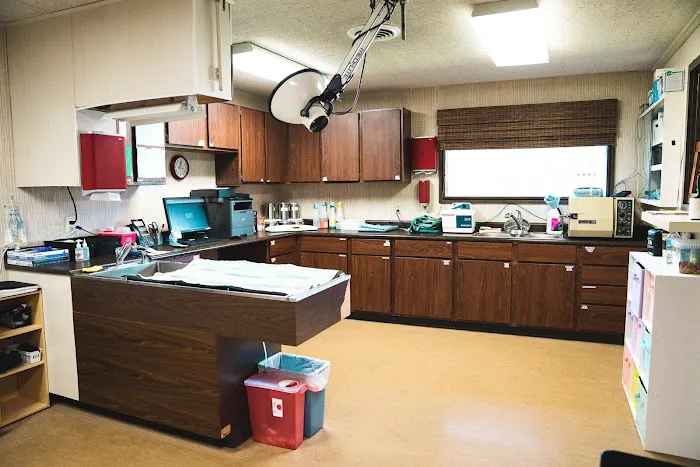 Animal Wellness Center Picture 10