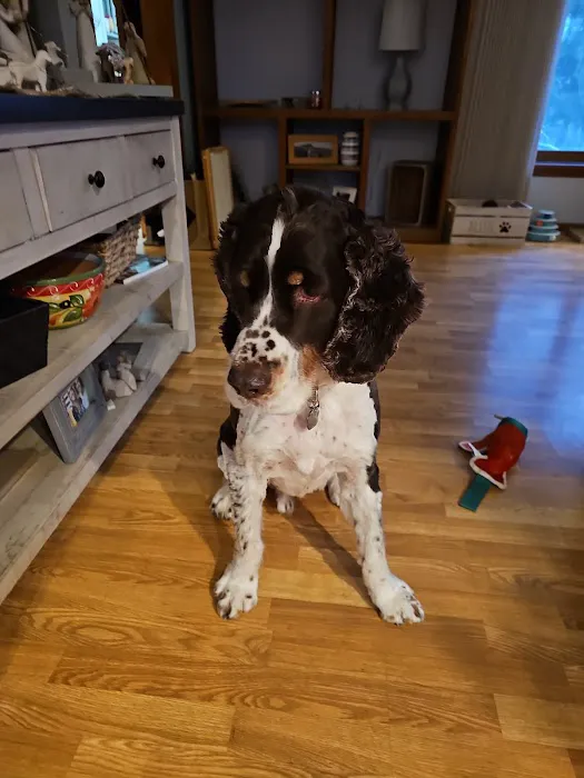 Family Pet Boarding Picture 2