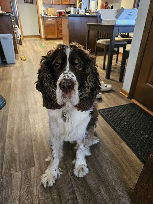 Family Pet Boarding Picture 3