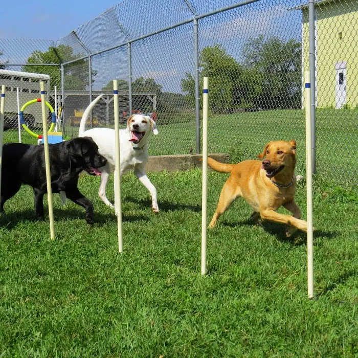 Family Pet Boarding Picture 7