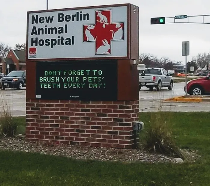 New Berlin Animal Hospital Picture 6