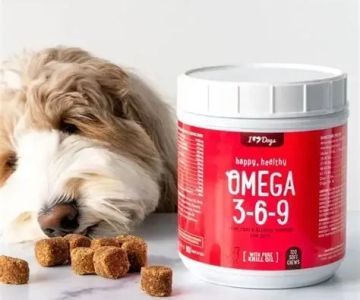 Benefits of Omega-3 Fatty Acids for Pets: Boosting Health and Wellness