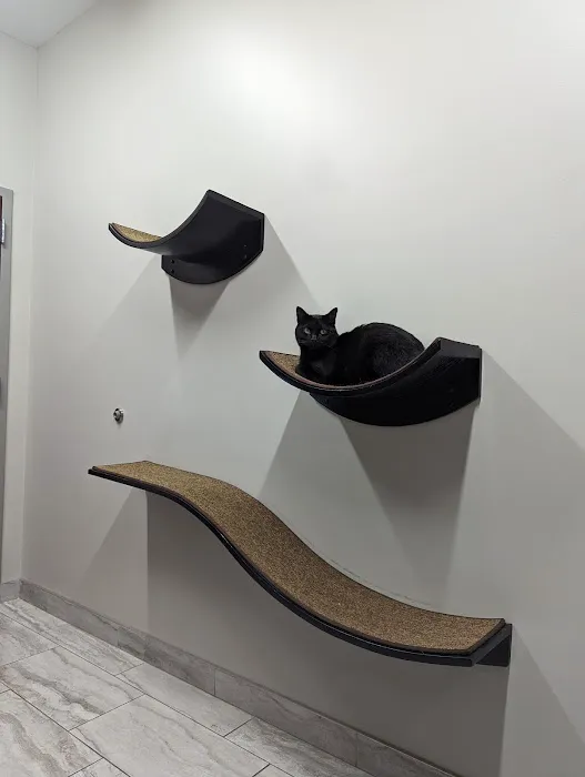 Mukwonago Animal Hospital Picture 2