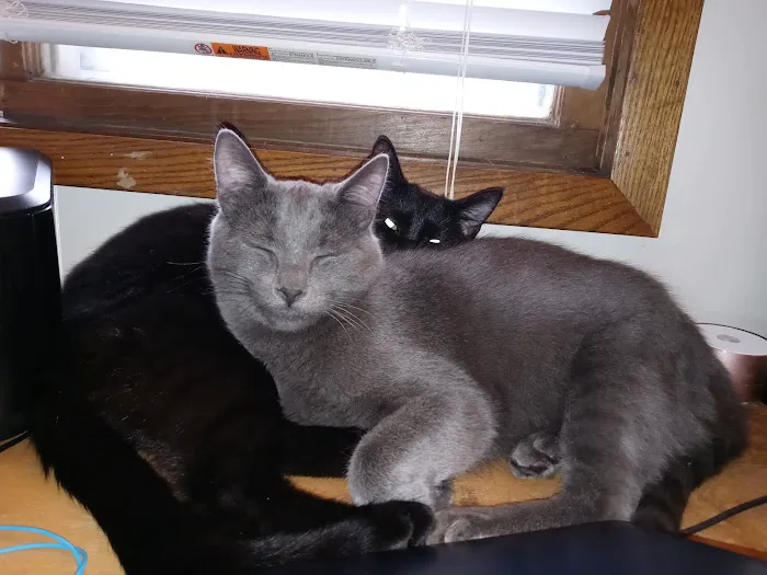 Mukwonago Animal Hospital Picture 10