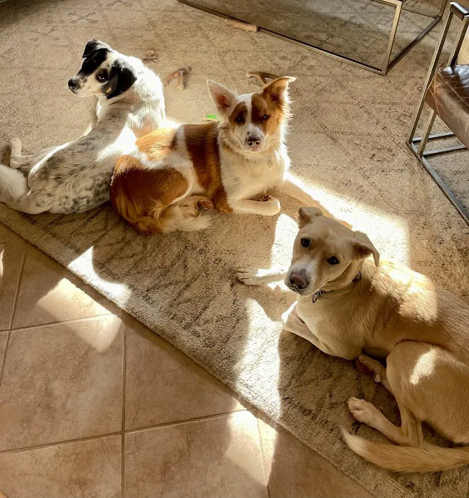 Prairie Animal Hospital Picture 10