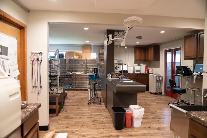 Animal Wellness Center Waukesha Picture 8