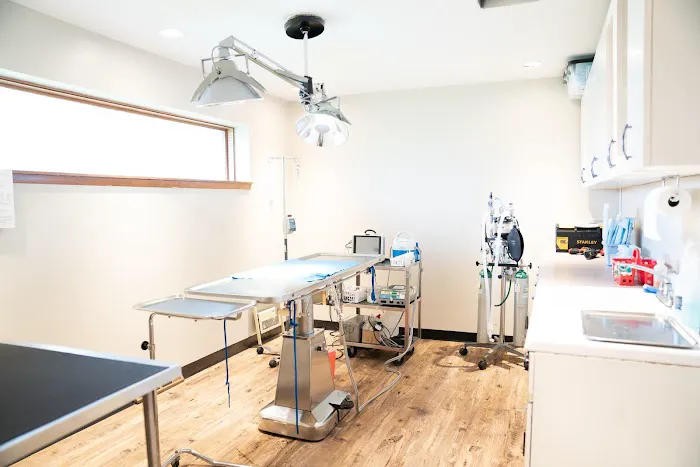 Animal Wellness Center Waukesha Picture 7