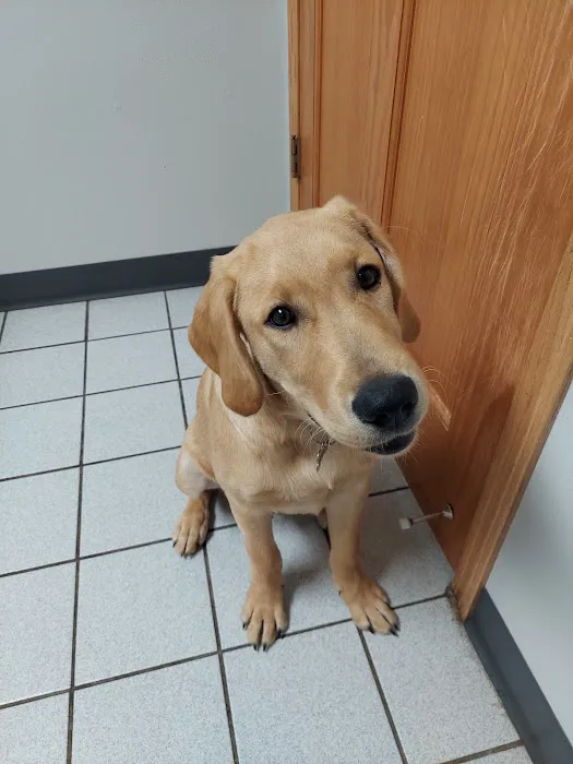 Rock River Animal Clinic Picture 2