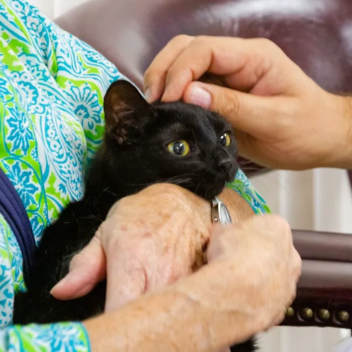 Rock River Animal Clinic Picture 7