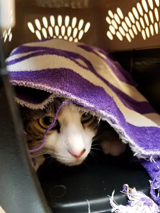 Animal Clinic of Fort Atkinson Picture 1