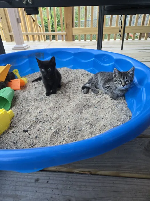 Animal Clinic of Fort Atkinson Picture 7