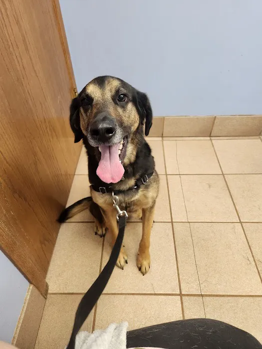 Animal Clinic of Fort Atkinson Picture 6