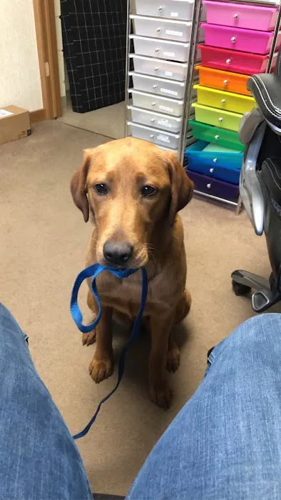 Animal Clinic of Fort Atkinson Picture 8