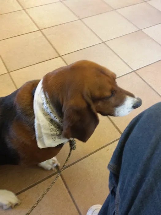 Animal Clinic of Fort Atkinson Picture 4