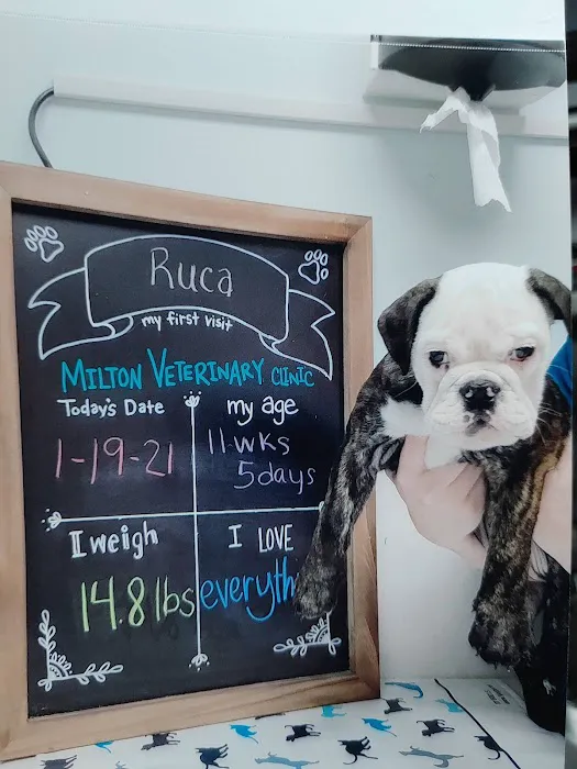 Milton Veterinary Clinic Picture 10