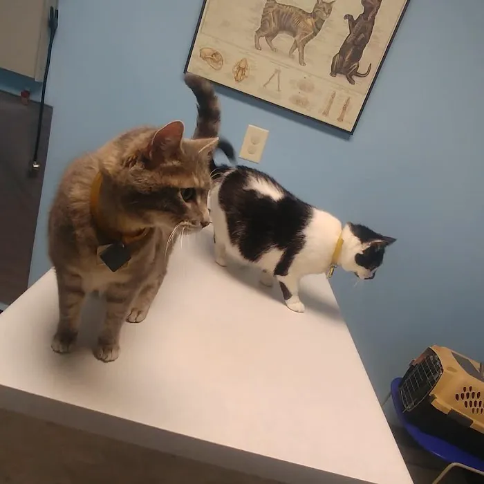 Janesville Animal Medical Center Picture 4