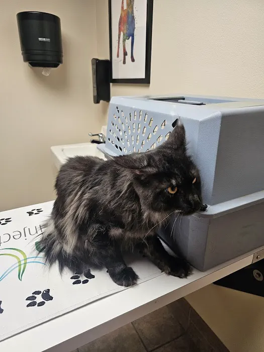 Jefferson Veterinary Clinic, S.C. Picture 4