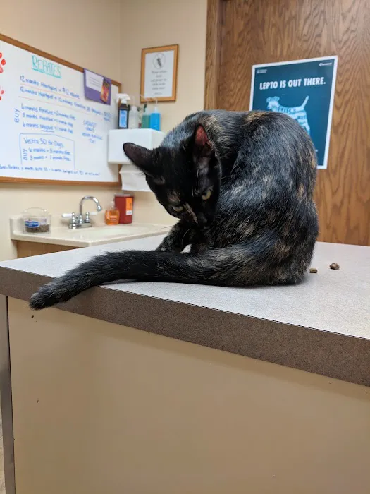 Jefferson Veterinary Clinic, S.C. Picture 6