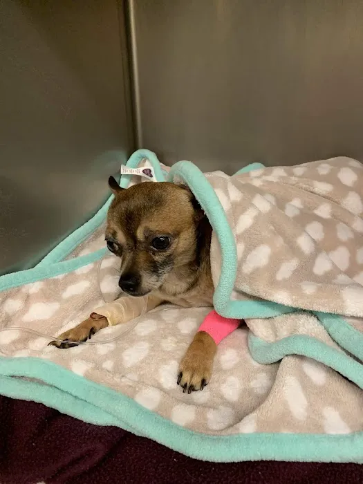 Dayton Veterinary Clinic Picture 2