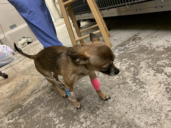 Dayton Veterinary Clinic Picture 5