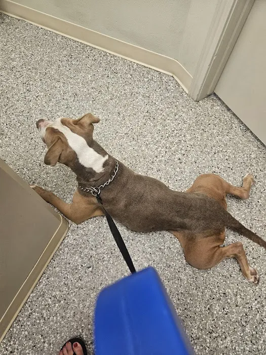 Dayton Veterinary Clinic Picture 8