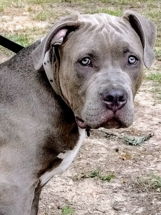 Trinity Animal Hospital Picture 4